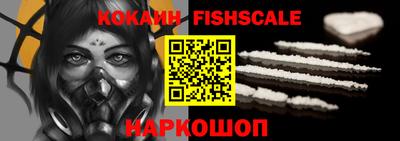 индика Партизанск