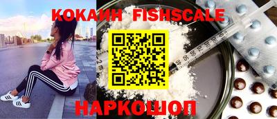 индика Партизанск