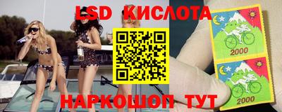 индика Партизанск