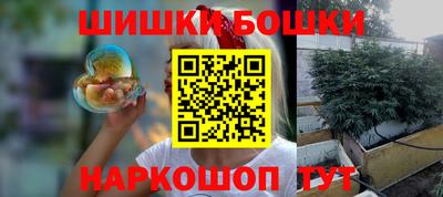 индика Партизанск