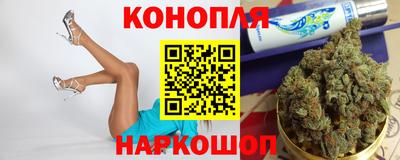 индика Партизанск